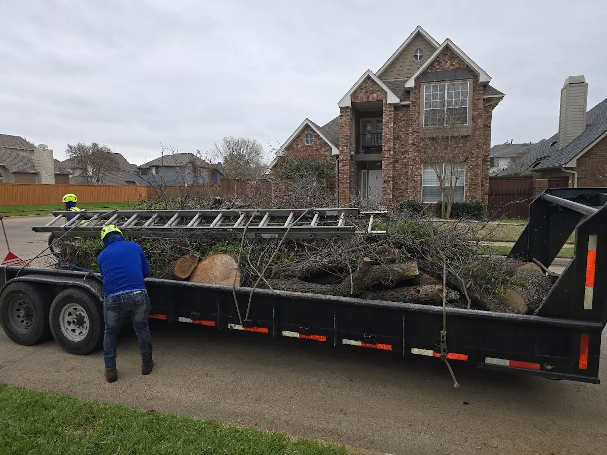 Expert Tree Fertilization with proper safety equipment in Butte Falls